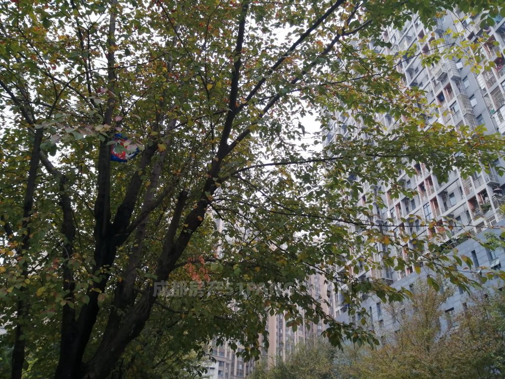 司法拍卖二次异地抵押房屋都有那些风险？