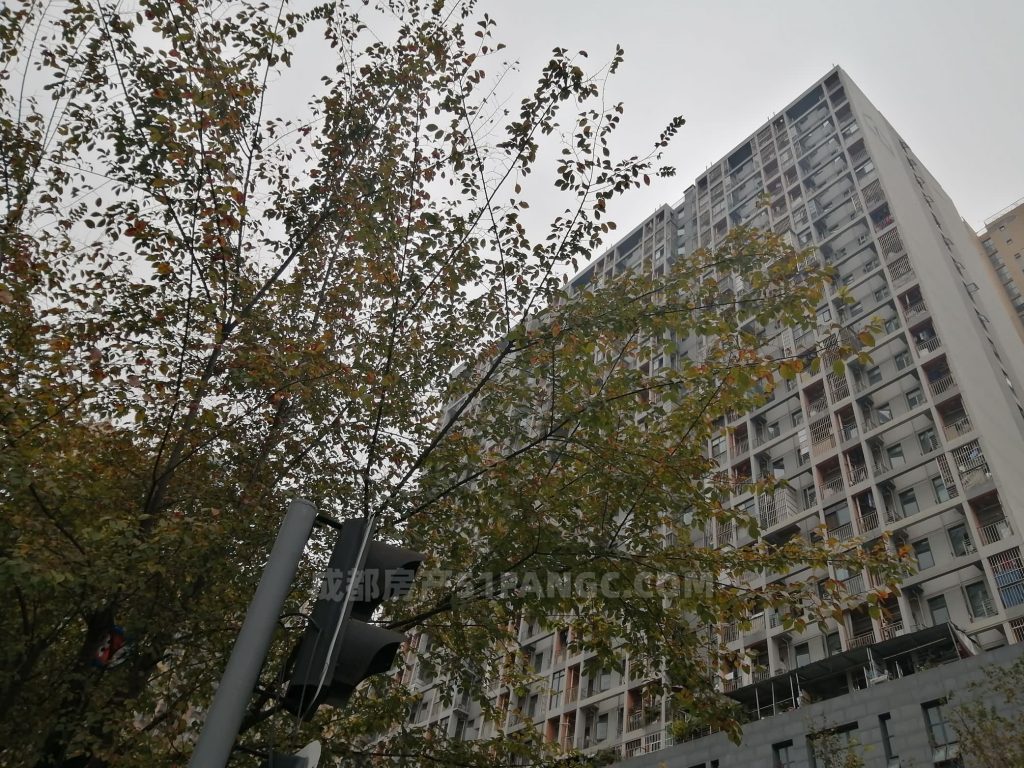 司法拍卖二次异地抵押房屋都有那些风险？