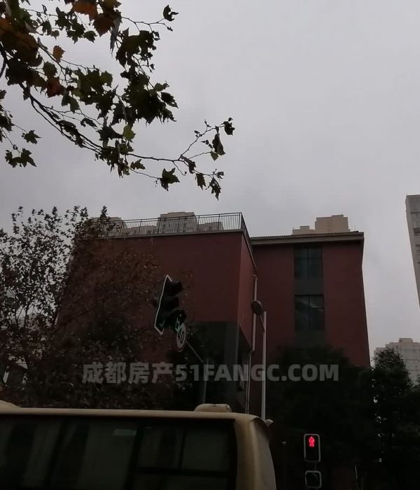 央视探访深圳万人抢房，法拍房热度不减