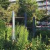自媒体网红可以申请加拿大联邦自雇移民，加拿大移民局对网红的定义