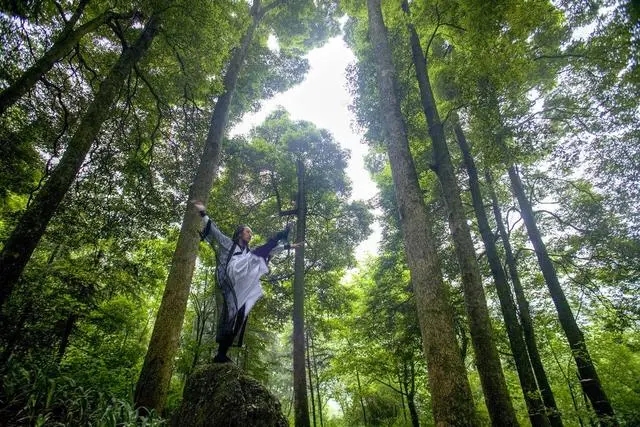 Learn Chinese martial arts, taoism regimen, come to Qingcheng Mountain, Holy land of Taoism!