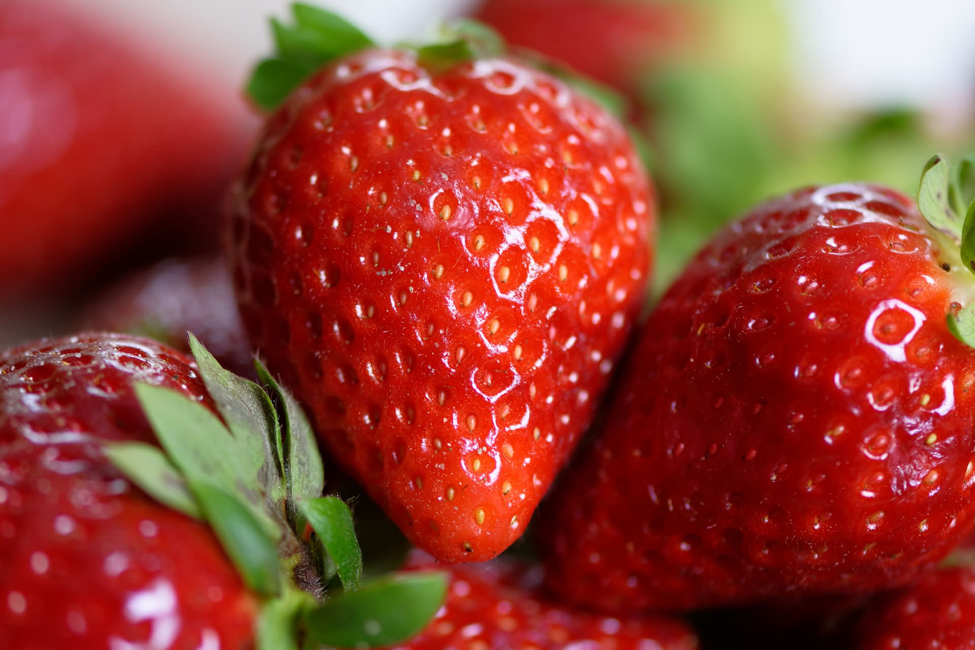 8月种植草莓苗，你要知道以下的田间管理办法