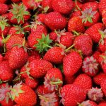 什么是醉侠草莓，醉侠草莓苗的种植技巧