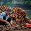 建设项目职业病防护设施设计专篇，找成都职业卫生邓经理