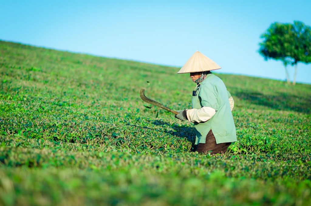 建设项目职业病防护设施设计专篇，找成都职业卫生邓经理